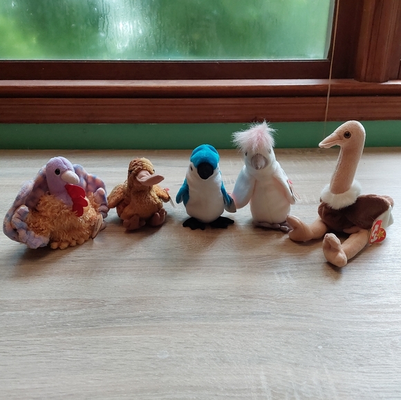 Beanie Baby birds! - Picture 15 of 16
